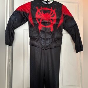 Spiderman Muscle costume